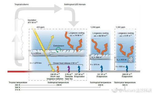 二氧化碳浓度激增,地球或重返5600万年前 北京变热带气候