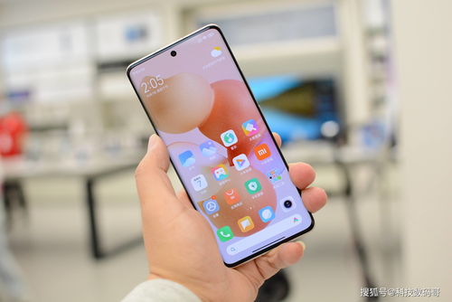 苹果丢掉的刘海,华为要捡回来 Mate50保护膜首次曝光