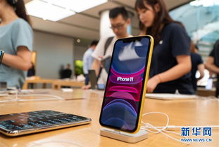 特稿 以 小球 智慧 行大国之交 哈佛 中国通 谈中美关系 图片频道 