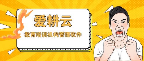 一款适合艺术培训学校管理系统