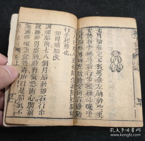 清代木刻本 精订摄生种子秘剖 上下两册全 有养生心法 导引法 延寿六字诀 种子秘诀 房术秘诀 御女篇 展龟秘诀 武则房术等 