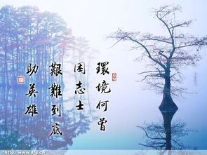 北京诚敬仁教育咨询有限公司图册 