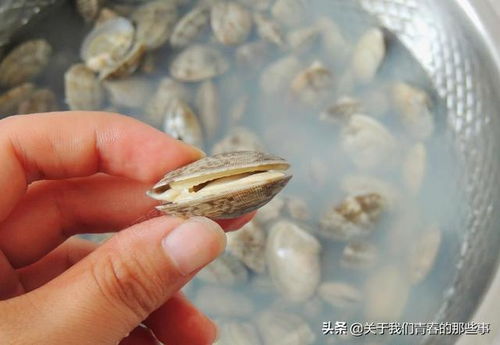洗花甲,别只知道加盐 老渔民教你一招,使劲吐沙,拦也拦不住 焯水 网易订阅 