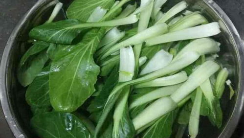 无论炒什么 青菜 别直接下锅,多做两步,青菜清脆爽口不发黑
