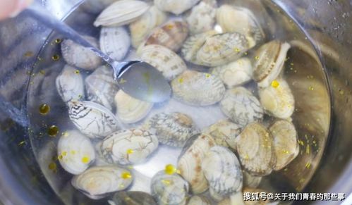 洗花甲,别只会用盐水泡 教你2招,花甲使劲吐沙,拦也拦不住 泥沙 