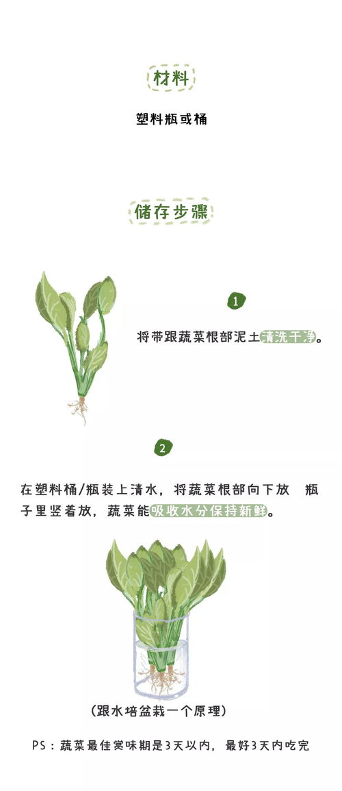 囤菜比抢菜还难 10种非主流保鲜法大放送