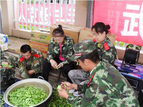 逊克县人民政府 