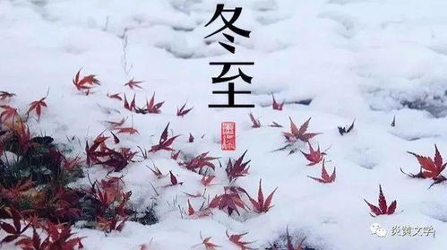 龙游天下 冬至抒怀 主播 山丫