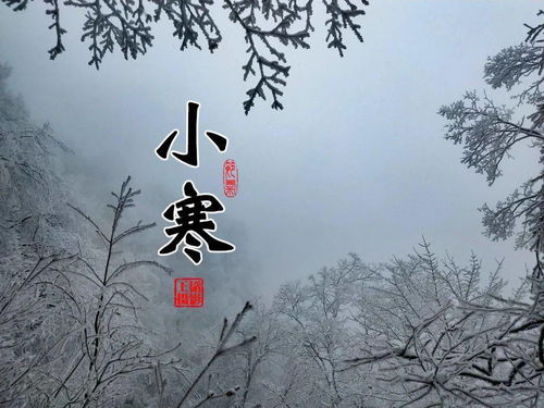 二十四节气写成古诗再配上平利风光有多唯美 看过就想收藏