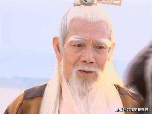 张三丰有心让她成为第二个郭襄,可她却成了李莫愁的接班人