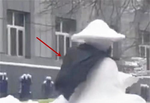 街头偶遇长安SUV,车顶载着帅气 侠客 ,路人 在搞创意大赛