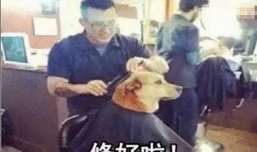 只有男生看得懂的内涵图 ,哈哈哈,那些秒懂的女生反省下自己