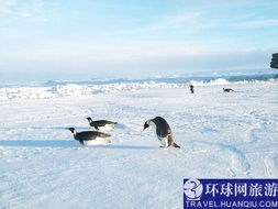 惊 南极为何从没发生过地震 