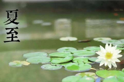 21日夏至,俗语 夏至三庚数头伏 是啥意思 今年哪天 入伏
