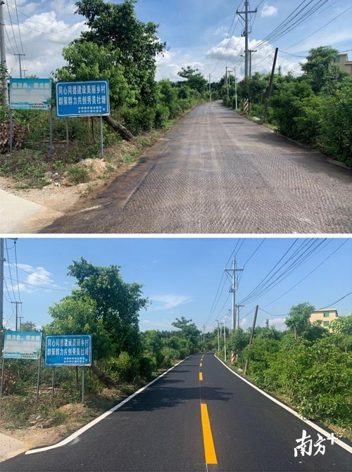 道路通 环境美 人心暖 碧桂园帮扶揭西杜塘村打造生态宜居美丽新农村