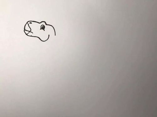 小盗龙画室 禽龙
