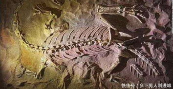 几十亿年来,地球经常有陨石光顾 
