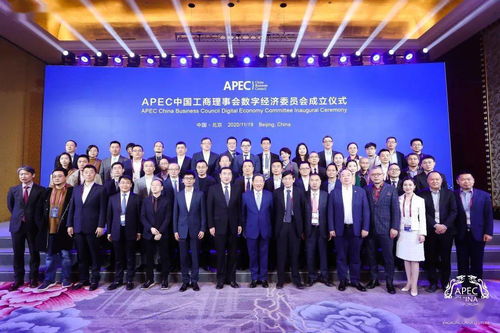 2020年APEC工商领导人中国论坛开幕 数字经济委员会正式成立