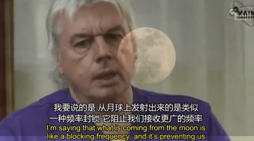 美国人为啥不怕疫情