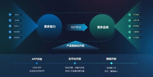 为什么说视频技术能开采千亿物联网市场,成功的秘密在哪里