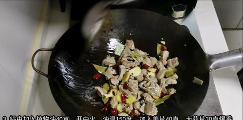 红烧牛肉 配方公布 加补气芸豆 强身健体 好吃下饭牛肉面浇头