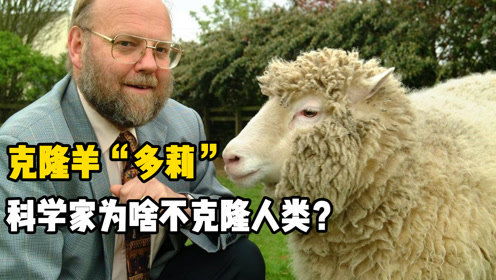 20年前克隆羊就已出现,为何科学家不克隆人类 背后有啥不妥