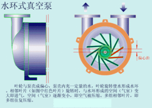 专栏文章 