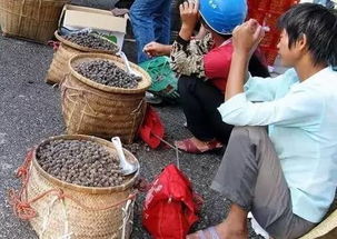 这种顺德人爱吃的东西价格暴涨,最贵1200元,不少人靠它发了财 