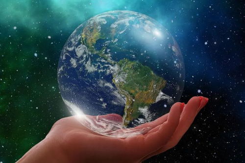 地球 二房东 正在改写所有生物进化的规则