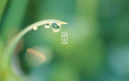 雨水 飘洒满天涯 润物细无声