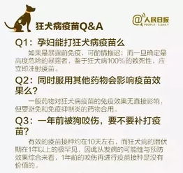 人要为狗让道