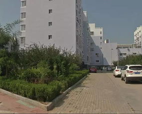 孟营二区 老小区新变化 市民齐声称赞 燕西里小区 绿地中菜园被清理 