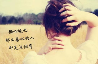 假如人生不曾相遇,你还是你,我还是我