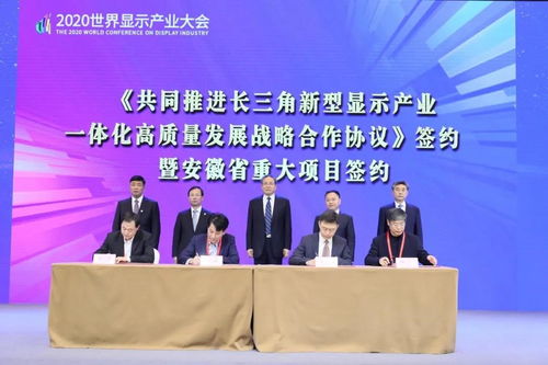 2020世界显示产业大会在合肥召开