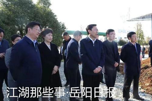 如何加快建设岳阳 三区一中心 新春第一个会再次强调了这些