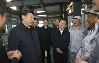 菏泽国际牡丹花会开幕,引来各地游客观赏, 黑牡丹 你见过吗
