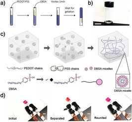 加州大学洛杉矶分校 UCLA Adv. Mater. 室温制备自愈合 可注射PEDOT PSS导电水凝胶 