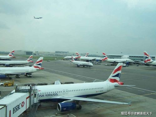 英国小留学生回国后,国内疫情可能会再次爆发吗