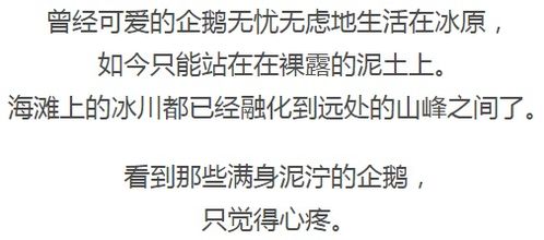 全球变暖或释放未知病毒 青藏高原冰川内发现28种新病毒