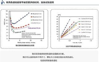 SunShell HILIC Amide 常规分析类液相色谱柱 液相色谱柱 色谱商城 