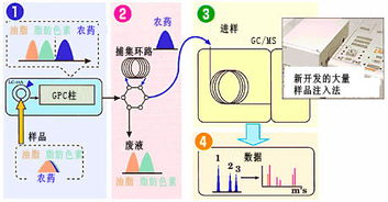 在线前处理气相色谱质谱联用仪 GPC GCMS MS 