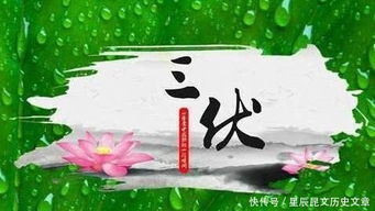 入伏 第一天,你知道 三伏 从哪天开始,到哪天结束吗 