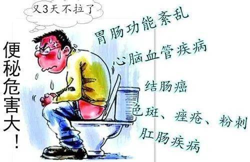 老年人慢性便秘如何选择药物