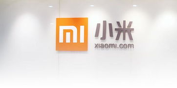 捷付睿通法人变为雷军,小米或已通过收购拿到支付牌照