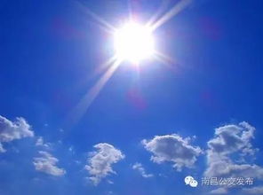 酷暑中的真英雄