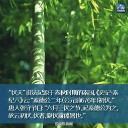 哭 加长版 今年三伏整整40天 看到这个消息我就热出了一身汗 