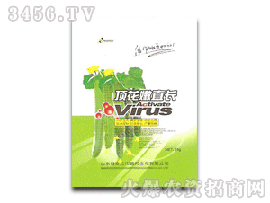 丰邦 顶花嫩直长