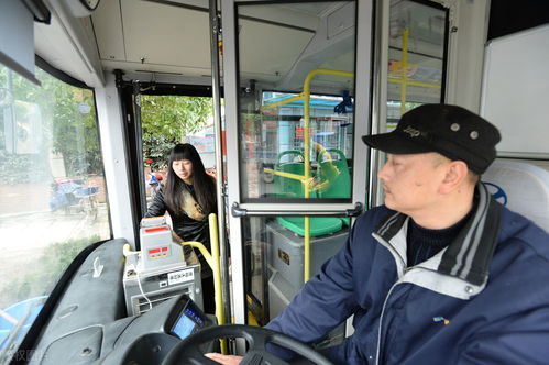 公交车违规下客乘客被过往小车撞飞,公交司机 怪我喽