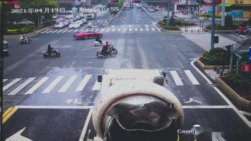 新兴 让礼让斑马线蔚然成风