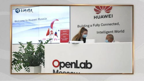 东向,中俄元首释放新讯号